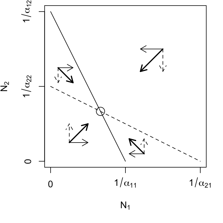 Phase plane diagrams of Lotka-Volterra competitors under different invasion conditions. Horizontal and vertical arrows indicate directions of attraction and repulsion for each population (solid and dased arrows); diagonal arrows indicate combined trajectory. Circles indicate equilibria; additional boundary equilibria can occur whenever one species is zero. Left to right: stable eq., $a_{ji} < a_{ii}$; $N_2$ wins, $a_{12} > a_{22}$; $N_1$ wins, $a_{21} > a_{11}$; saddle attractor-repellor, $a_{ji} > a_{ii}$.