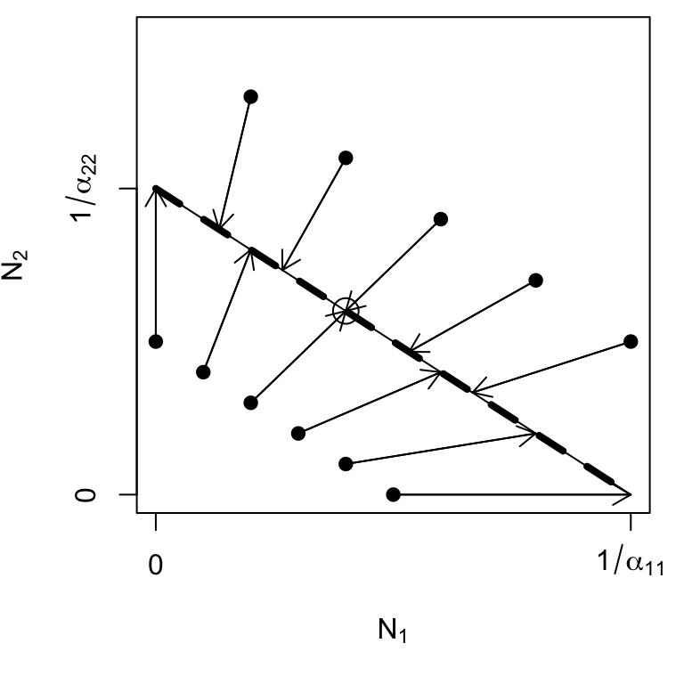 Trajectories of N(1),N(2) for $\beta_{12} = \beta_{21} = 1$. The entire isocline is an attractor, a neutral saddle, and the final abundances depend on the initial abundances and the ratio of $\alpha_{11}/\alpha_{22}$. The circle represents our one derived equilibrium.