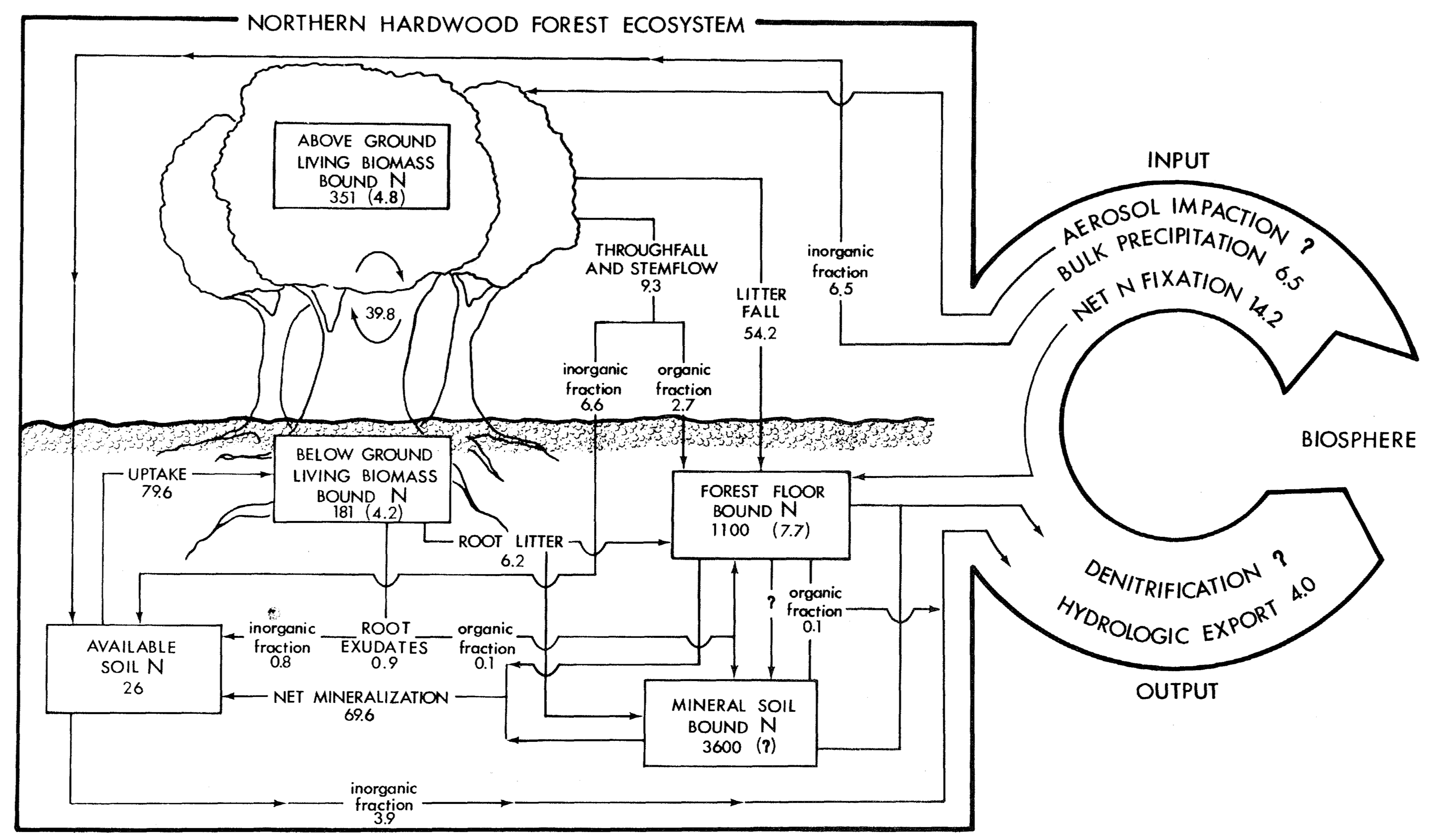 *Nitrogen budget for a temperate northern hardwood forest (Hubbard Brook Watershed 6, Bormann et al. 1977).*