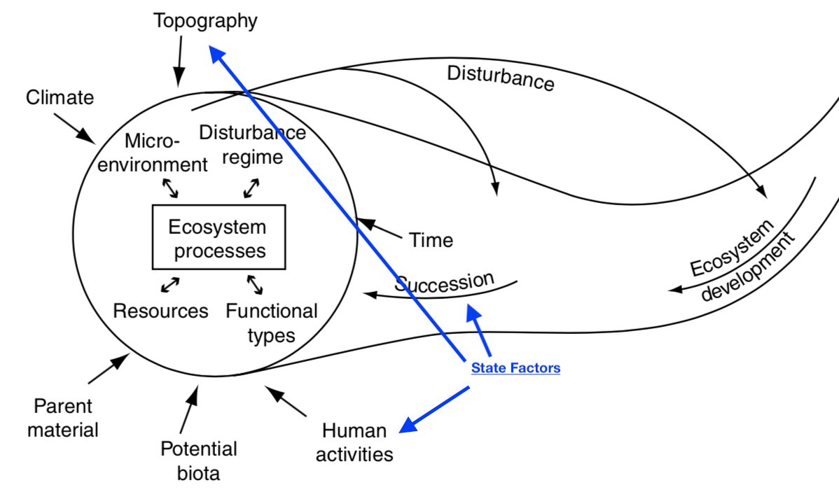 *The current state of an ecosystem depends on state factors [@chapin2011].*