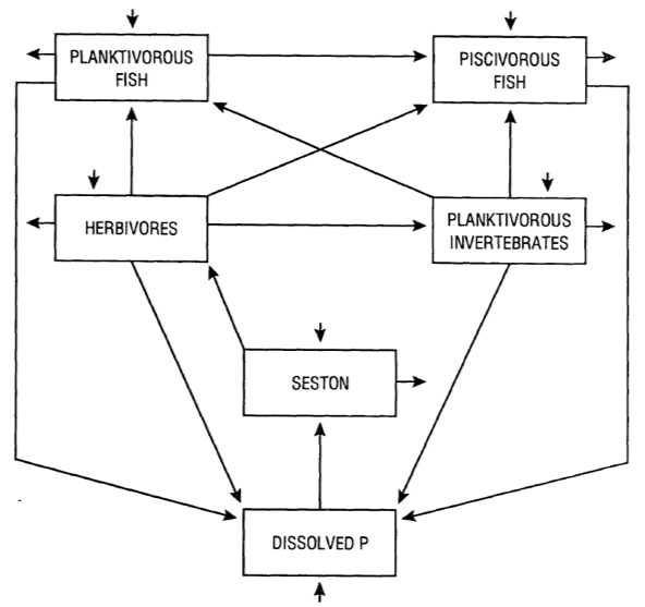 *An ecosystem perspective of lake, in terms of phosphorus [@carpenter1992]. Boxes are ecosystem compartments and the quantities are pools (a.k.a. stocks, units are mass per unit area or volume). Arrows are fluxes (units are mass per unit time).*