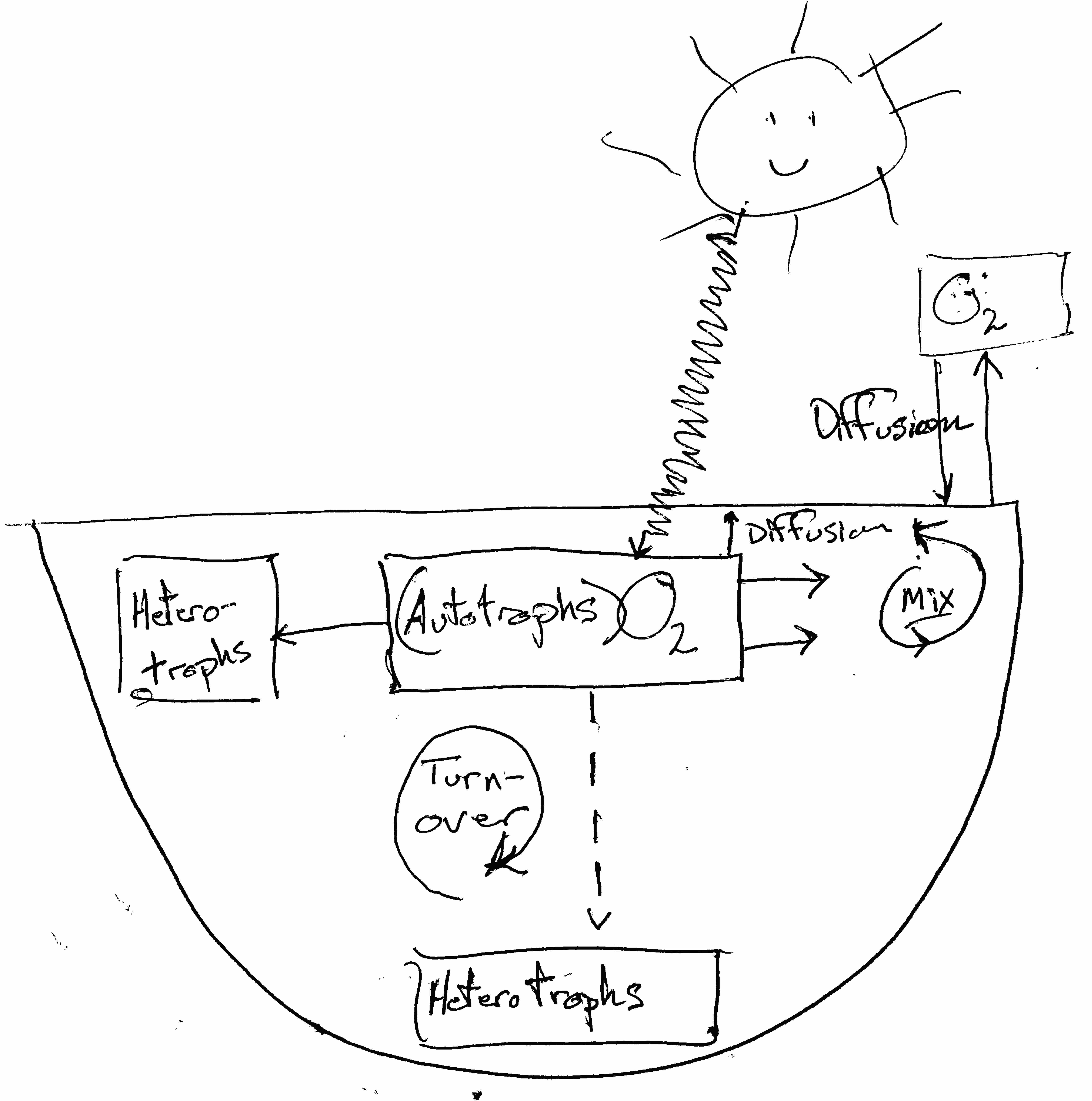 *We can use lake oxygen level to measure net ecosystem production. *